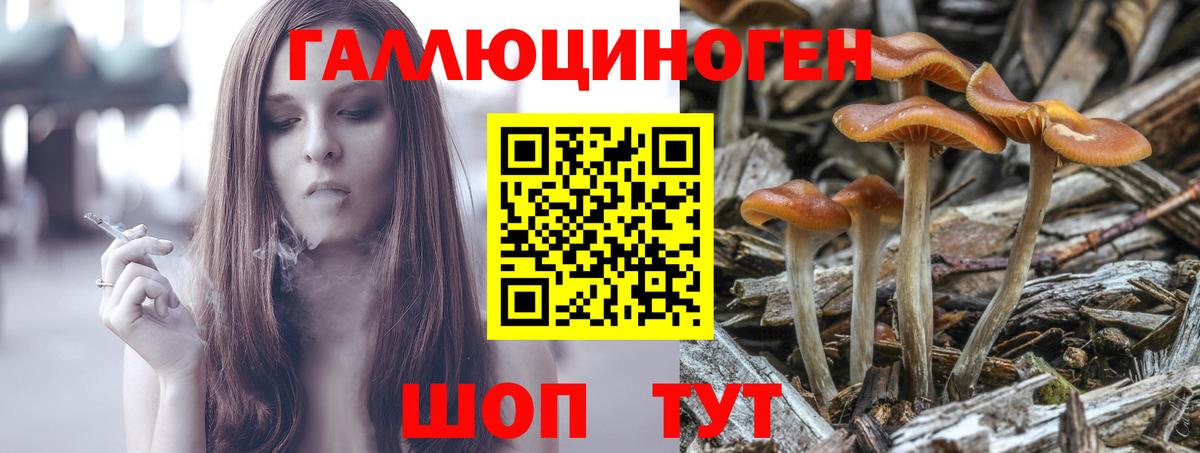 Псилоцибиновые грибы GOLDEN TEACHER Киселёвск