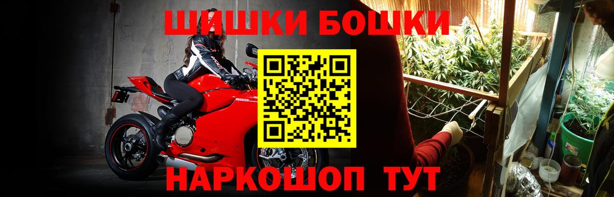 Каннабис OG Kush Киселёвск